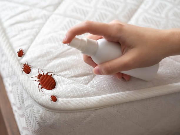 Best Pest Prevention Services  in South Haven, IN